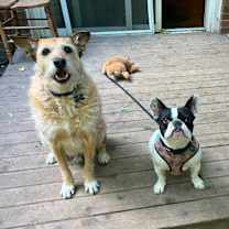 Thumbnail photo of Penny #4