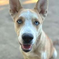 Thumbnail photo of MISTO #2