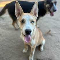 Thumbnail photo of MISTO #3