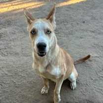 Thumbnail photo of MISTO #4