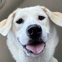 Thumbnail photo of Betty #1