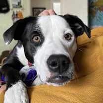 Thumbnail photo of Reggie #2