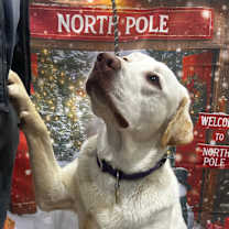 Thumbnail photo of Big Boy #2