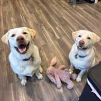 Thumbnail photo of Big Boy #3