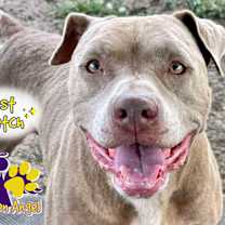 Thumbnail photo of Princess #1