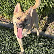 Thumbnail photo of Kiah #1