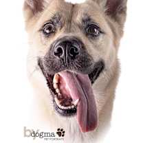 Thumbnail photo of Kiah #2