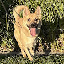 Thumbnail photo of Kiah #3