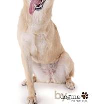 Thumbnail photo of Kiah #4