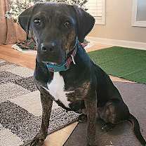 Thumbnail photo of Chrissy #1