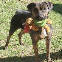 Thumbnail photo of Chrissy #2