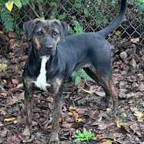 Thumbnail photo of Chrissy #3