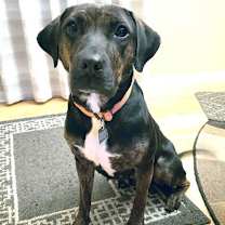 Thumbnail photo of Chrissy #4