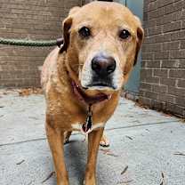 Thumbnail photo of BB #3