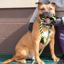 Thumbnail photo of Thunderbolt #1