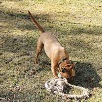 Thumbnail photo of Thunderbolt #3