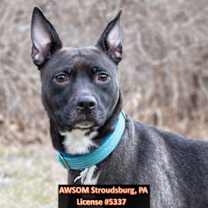 Thumbnail photo of Storm #1