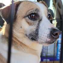 Thumbnail photo of Gusto #1