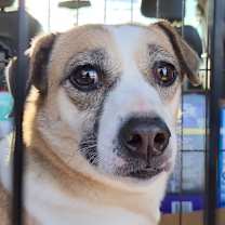 Thumbnail photo of Gusto #2