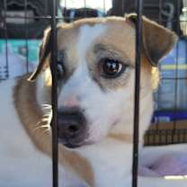 Thumbnail photo of Gusto #3