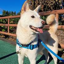 Thumbnail photo of Largo (S. Korea) hz #2