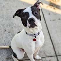 Thumbnail photo of Loverboy #2