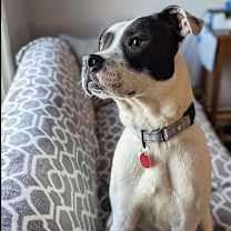 Thumbnail photo of Loverboy #3