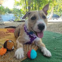 Thumbnail photo of Penny #2