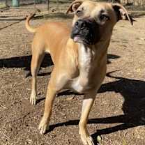 Thumbnail photo of Jonah #1