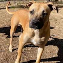 Thumbnail photo of Jonah #2