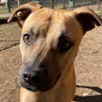 Thumbnail photo of Jonah #3