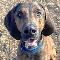 Thumbnail photo of Bubba #2