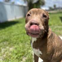 Thumbnail photo of Zeus #2