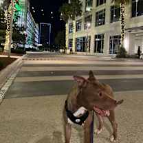 Thumbnail photo of Zeus #4