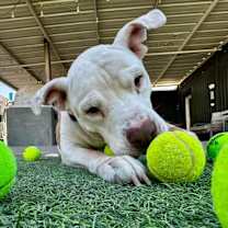 Thumbnail photo of Happy #2