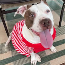 Thumbnail photo of Juno #3