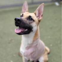 Thumbnail photo of Jacob (Jake) #4