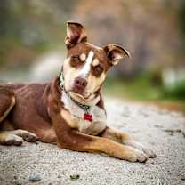 Thumbnail photo of Osita #1