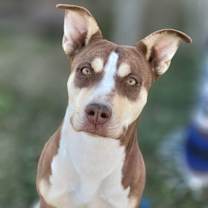 Thumbnail photo of Osita #2