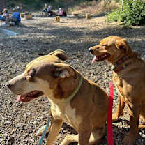 Thumbnail photo of Osita #3