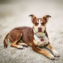 Thumbnail photo of Osita #4