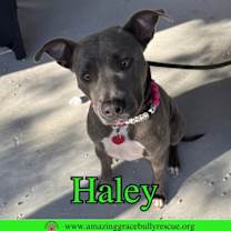Thumbnail photo of Haley #3