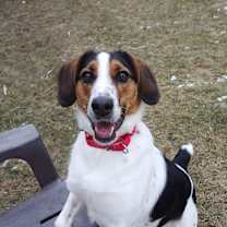 Thumbnail photo of JR #4