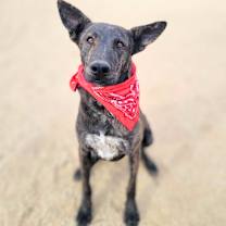 Thumbnail photo of Roger #2