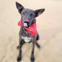 Thumbnail photo of Roger #4