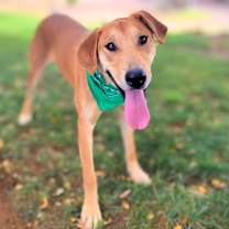 Thumbnail photo of Macaroni #2