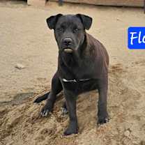 Thumbnail photo of Floppy #2