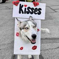 Thumbnail photo of Ash #4