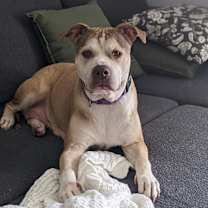 Thumbnail photo of Lily #4