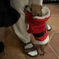 Thumbnail photo of Lil Miss Gigi #2